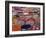 Flower Market, Kunming, Yunnan, China, Asia-Rolf Richardson-Framed Photographic Print