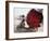 Flower Market, Lado Sarai, Delhi, India-John Henry Claude Wilson-Framed Photographic Print