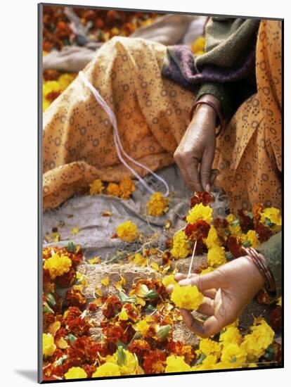 Flower Market, Lado Sarai, Delhi, India-John Henry Claude Wilson-Mounted Photographic Print