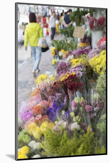 Flower Market, Mongkok, Kowloon, Hong Kong, China, Asia-Ian Trower-Mounted Photographic Print