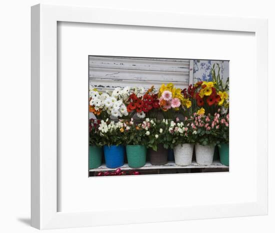 Flower Market, Port Louis, Mauritius-Walter Bibikow-Framed Photographic Print