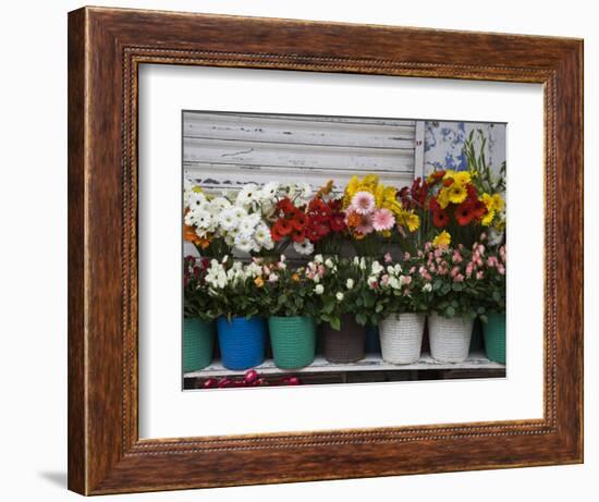 Flower Market, Port Louis, Mauritius-Walter Bibikow-Framed Photographic Print