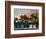 Flower Market, Port Louis, Mauritius-Walter Bibikow-Framed Photographic Print