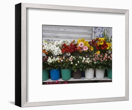 Flower Market, Port Louis, Mauritius-Walter Bibikow-Framed Photographic Print