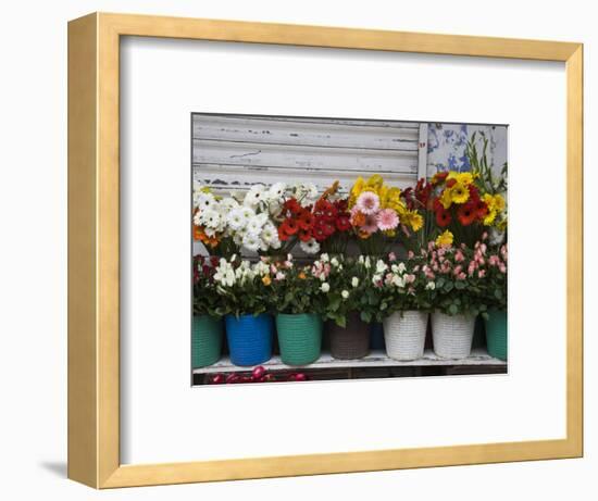 Flower Market, Port Louis, Mauritius-Walter Bibikow-Framed Photographic Print