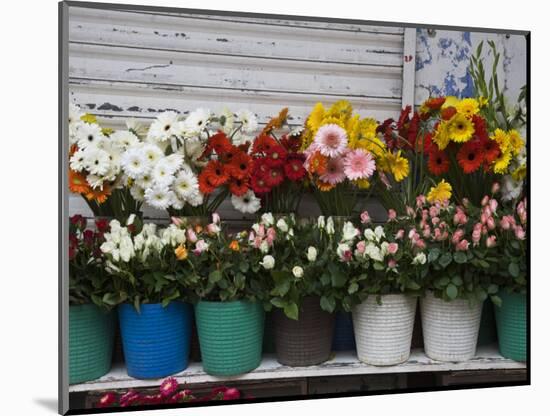 Flower Market, Port Louis, Mauritius-Walter Bibikow-Mounted Photographic Print