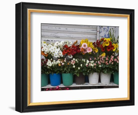 Flower Market, Port Louis, Mauritius-Walter Bibikow-Framed Photographic Print