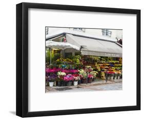 Flower market, Rue Cler, Paris-Sylvia Gulin-Framed Photographic Print