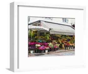 Flower market, Rue Cler, Paris-Sylvia Gulin-Framed Photographic Print