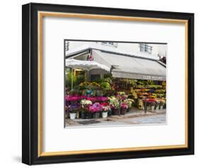 Flower market, Rue Cler, Paris-Sylvia Gulin-Framed Photographic Print