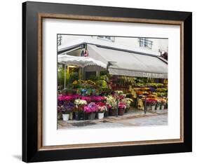 Flower market, Rue Cler, Paris-Sylvia Gulin-Framed Photographic Print