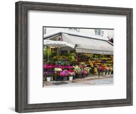 Flower market, Rue Cler, Paris-Sylvia Gulin-Framed Photographic Print