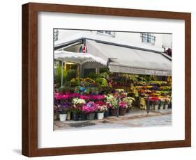 Flower market, Rue Cler, Paris-Sylvia Gulin-Framed Photographic Print