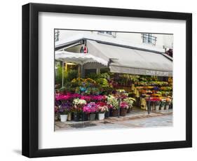 Flower market, Rue Cler, Paris-Sylvia Gulin-Framed Photographic Print
