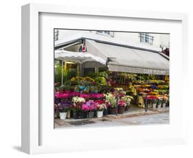 Flower market, Rue Cler, Paris-Sylvia Gulin-Framed Photographic Print