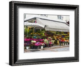 Flower market, Rue Cler, Paris-Sylvia Gulin-Framed Photographic Print