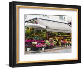 Flower market, Rue Cler, Paris-Sylvia Gulin-Framed Photographic Print