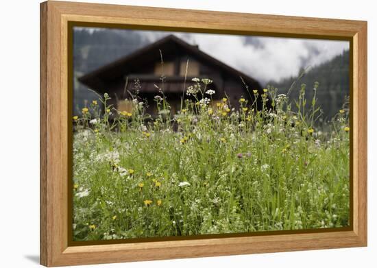 Flower Meadow, Farmhouse-Roland T.-Framed Premier Image Canvas