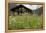 Flower Meadow, Farmhouse-Roland T.-Framed Premier Image Canvas