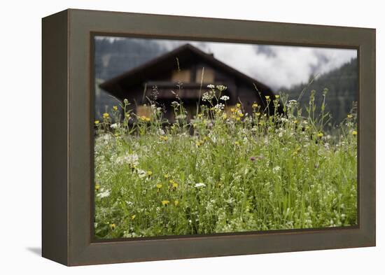 Flower Meadow, Farmhouse-Roland T.-Framed Premier Image Canvas