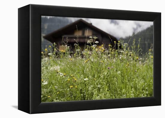 Flower Meadow, Farmhouse-Roland T.-Framed Premier Image Canvas