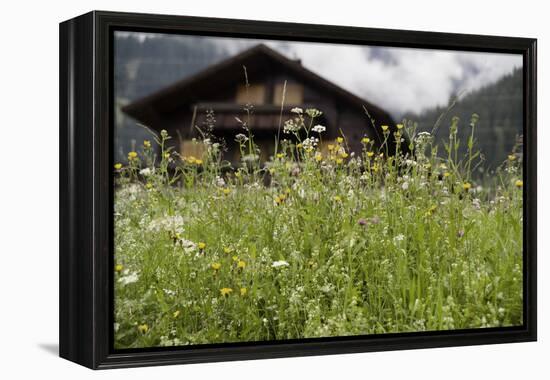 Flower Meadow, Farmhouse-Roland T.-Framed Premier Image Canvas