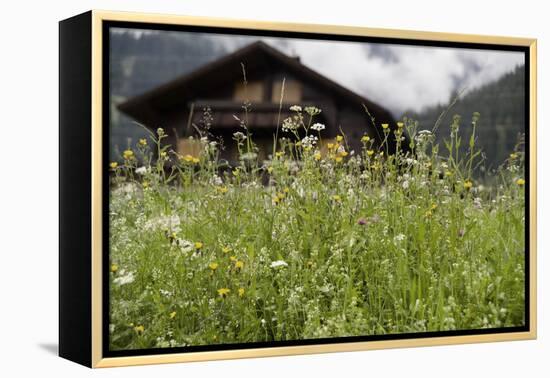 Flower Meadow, Farmhouse-Roland T.-Framed Premier Image Canvas