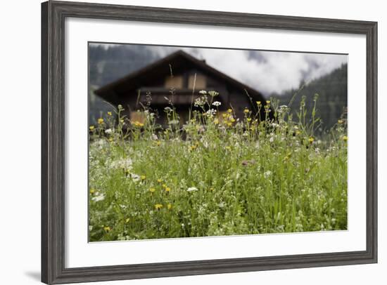 Flower Meadow, Farmhouse-Roland T.-Framed Photographic Print