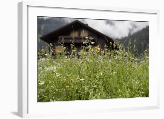 Flower Meadow, Farmhouse-Roland T.-Framed Photographic Print