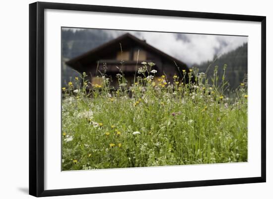 Flower Meadow, Farmhouse-Roland T.-Framed Photographic Print