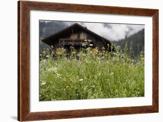 Flower Meadow, Farmhouse-Roland T.-Framed Photographic Print