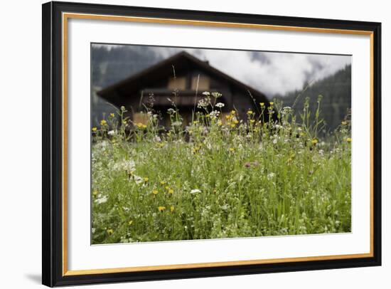 Flower Meadow, Farmhouse-Roland T.-Framed Photographic Print