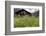 Flower Meadow, Farmhouse-Roland T.-Framed Photographic Print