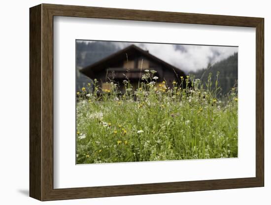 Flower Meadow, Farmhouse-Roland T.-Framed Photographic Print