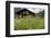 Flower Meadow, Farmhouse-Roland T.-Framed Photographic Print