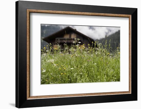 Flower Meadow, Farmhouse-Roland T.-Framed Photographic Print