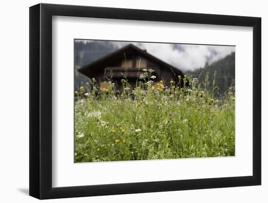 Flower Meadow, Farmhouse-Roland T.-Framed Photographic Print