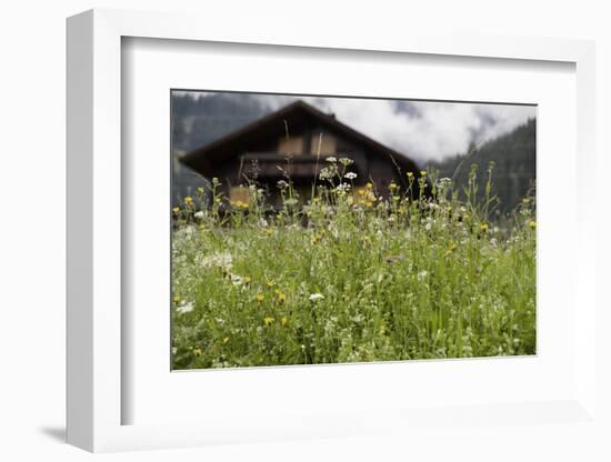 Flower Meadow, Farmhouse-Roland T.-Framed Photographic Print