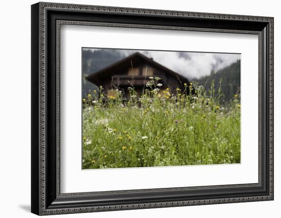 Flower Meadow, Farmhouse-Roland T.-Framed Photographic Print