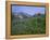 Flower Meadow, Mount Revelstoke National Park, Rocky Mountains, British Columbia (B.C.), Canada-Geoff Renner-Framed Premier Image Canvas