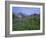 Flower Meadow, Mount Revelstoke National Park, Rocky Mountains, British Columbia (B.C.), Canada-Geoff Renner-Framed Photographic Print