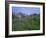 Flower Meadow, Mount Revelstoke National Park, Rocky Mountains, British Columbia (B.C.), Canada-Geoff Renner-Framed Photographic Print