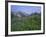Flower Meadow, Mount Revelstoke National Park, Rocky Mountains, British Columbia (B.C.), Canada-Geoff Renner-Framed Photographic Print