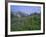 Flower Meadow, Mount Revelstoke National Park, Rocky Mountains, British Columbia (B.C.), Canada-Geoff Renner-Framed Photographic Print