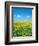 Flower meadow with blooming dandelion-Herbert Kehrer-Framed Photographic Print