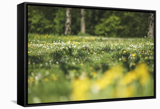 Flower meadow-Benjamin Engler-Framed Stretched Canvas