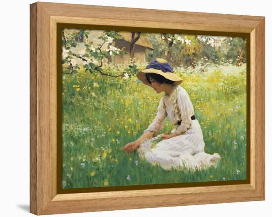 Flower Meadow-Arthur Hacker-Framed Premier Image Canvas