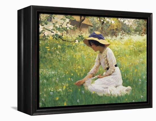 Flower Meadow-Arthur Hacker-Framed Premier Image Canvas