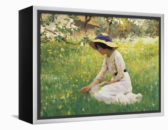 Flower Meadow-Arthur Hacker-Framed Premier Image Canvas