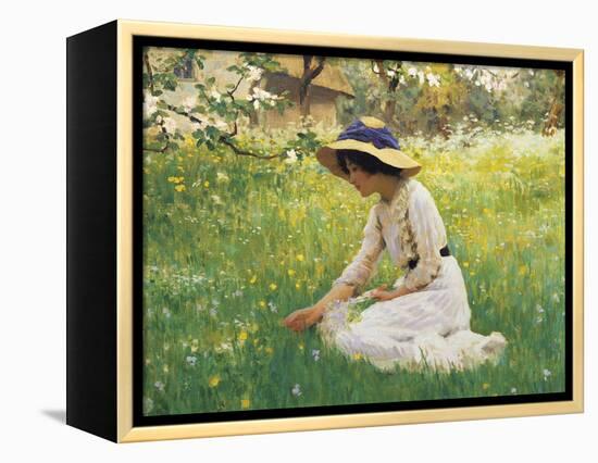 Flower Meadow-Arthur Hacker-Framed Premier Image Canvas